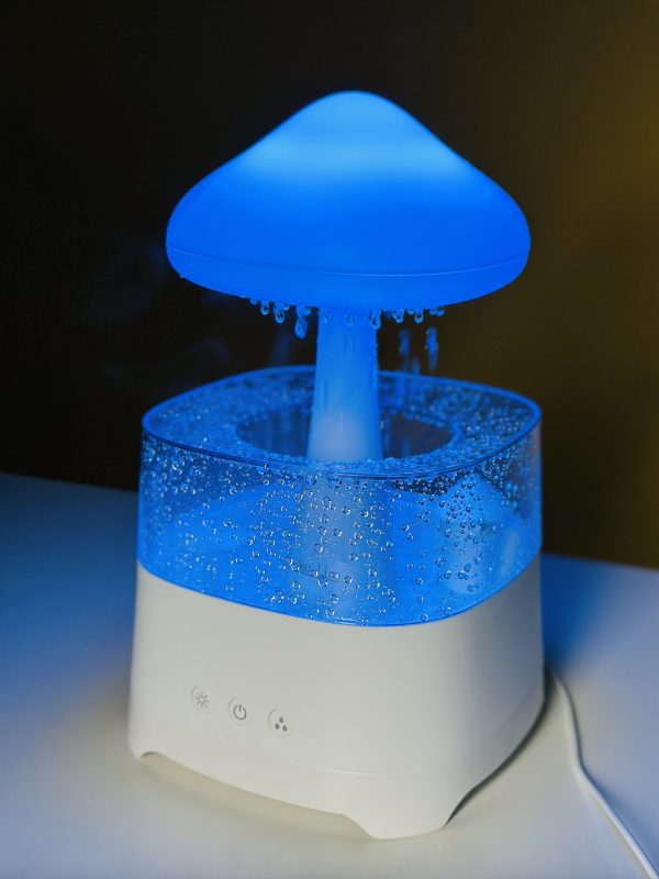 Rain Cloud Humidifier - Image 5